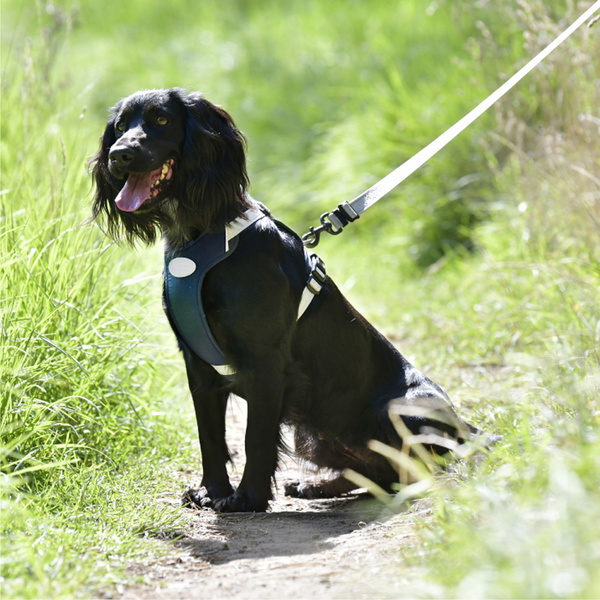 Weatherbeeta Explorer Hundegeschirr 101819800 - Navy